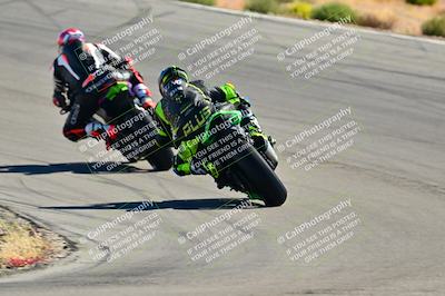 media/Oct-24-2025-2WTD (Fri) [[491f36c2bf]]/B Group/Session 3 (Turn 5)/